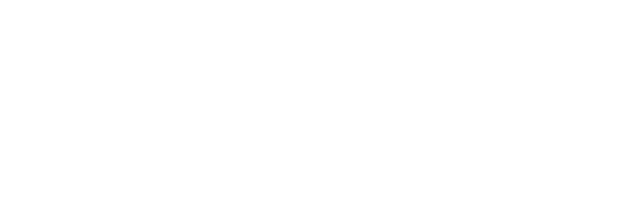 DANESH TEPPICHE Handels-GmbH